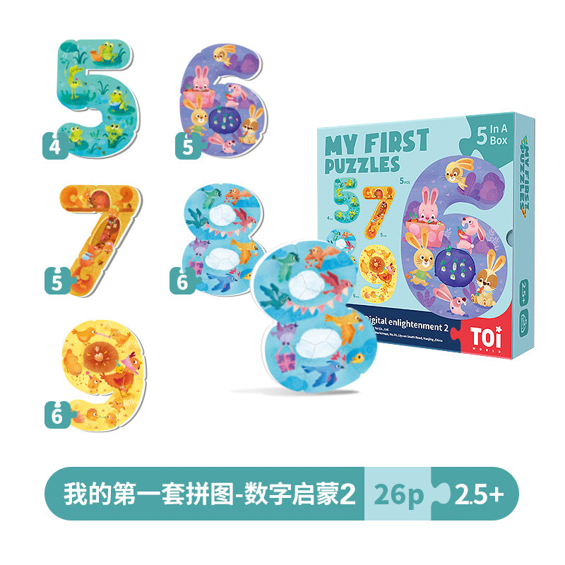 TOI大块双面儿童拼2-3岁 TOI Early Education My First Puzzles Jigsaw Puzzles For Kids