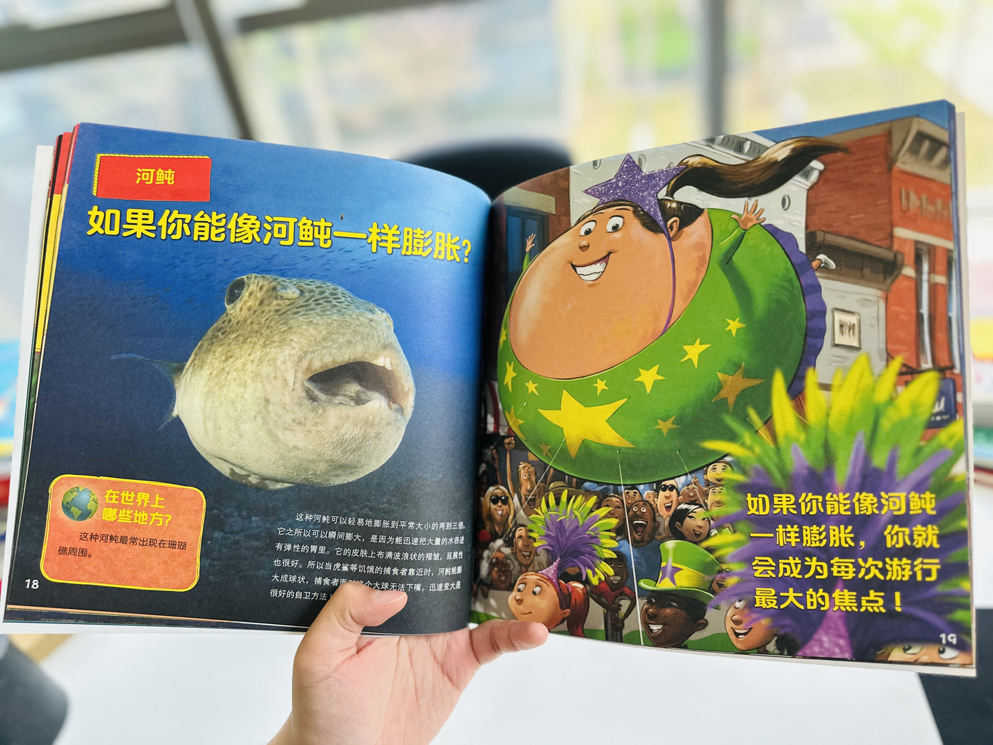 【Promesa PREORDER】如果你有动物的舌头(全3册) | 如果你有动物的尾巴(全8册)儿童趣味动物小百科科普绘本